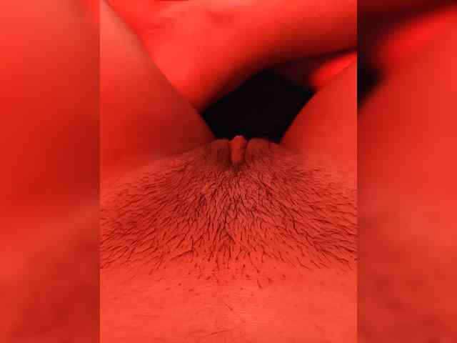 CamX1 webcam