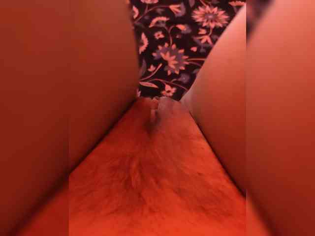 CamX1 webcam