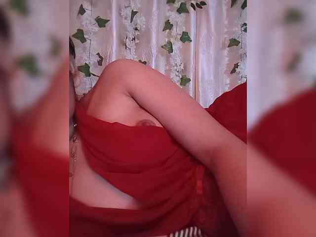 CamX1 webcam