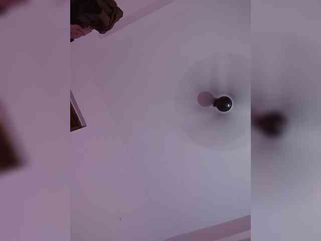 CamX1 webcam