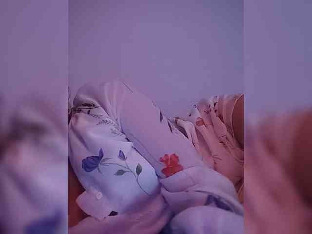 CamX1 webcam