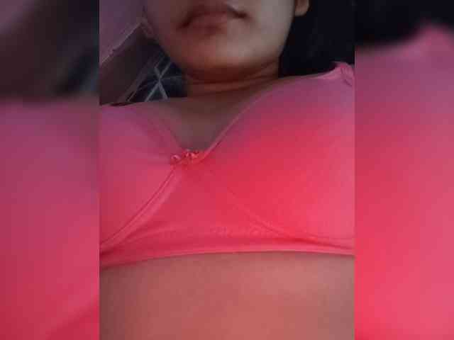 CamX1 webcam