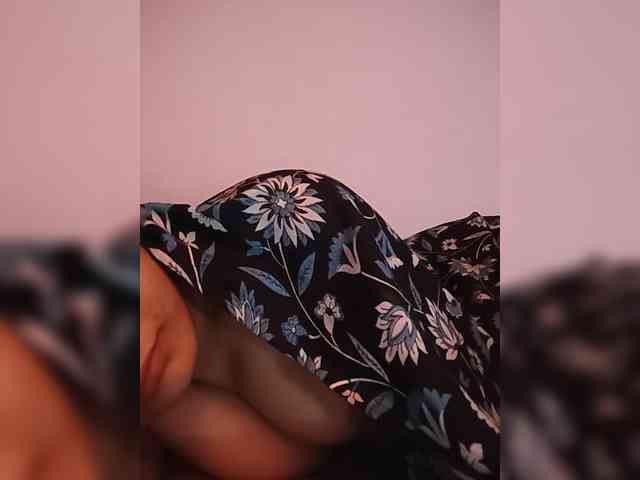 CamX1 webcam