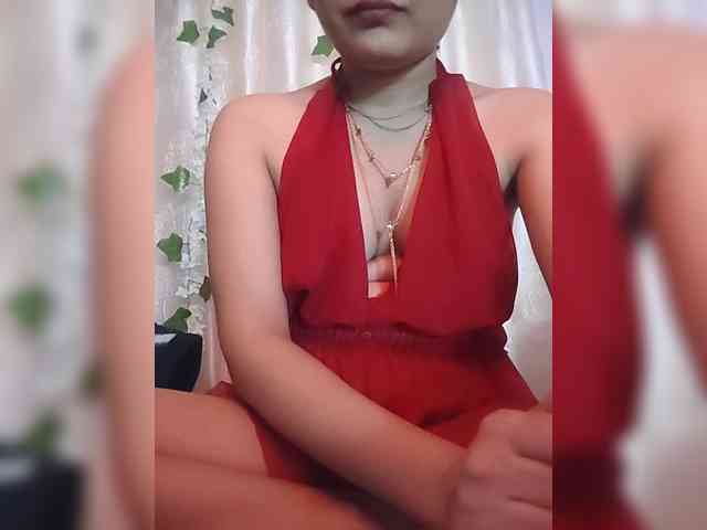 CamX1 webcam