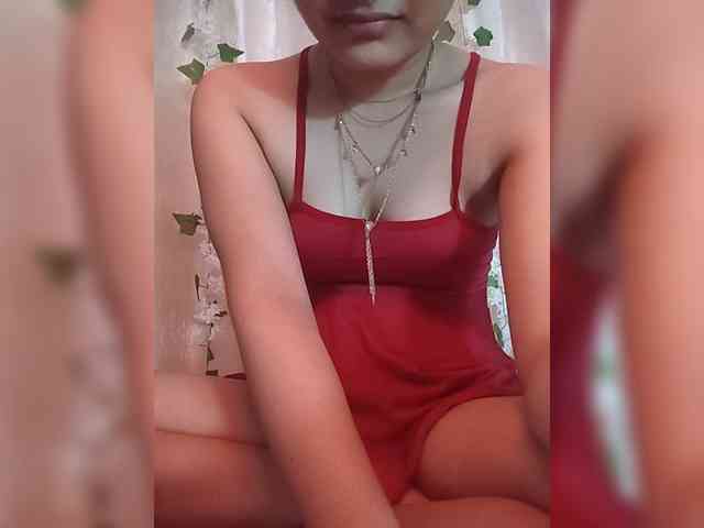 CamX1 webcam