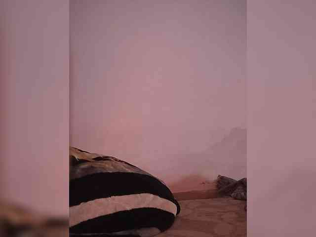 CamX1 webcam