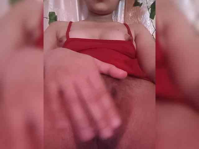 CamX1 webcam