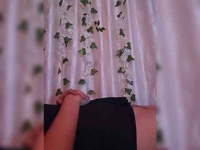 CamX1 webcam
