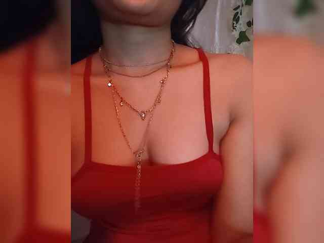 CamX1 webcam