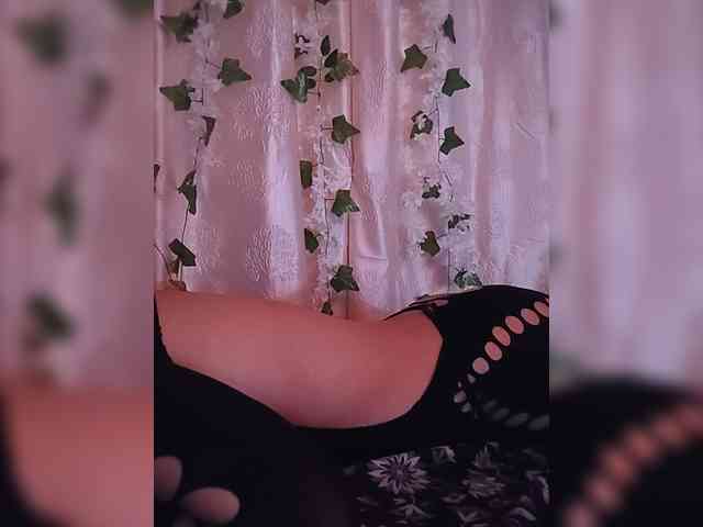 CamX1 webcam