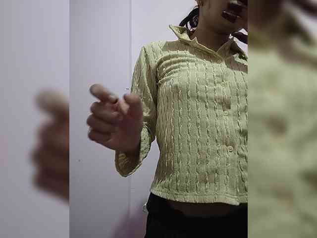 CamX1 webcam