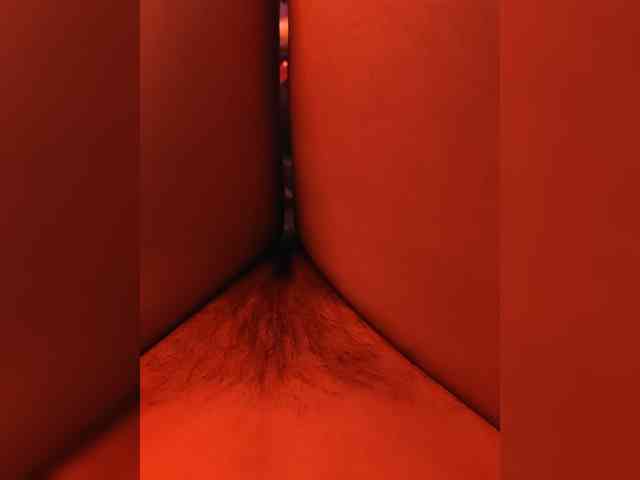 CamX1 webcam