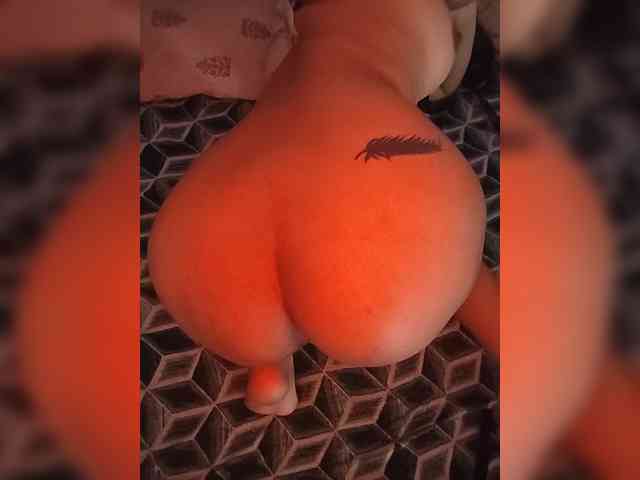CamX1
