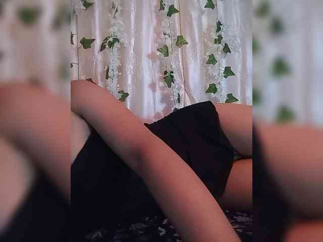 CamX1 webcam