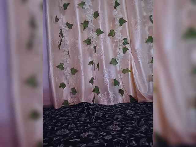 CamX1 webcam