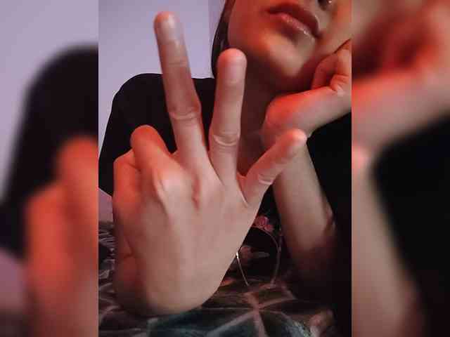CamX1 webcam