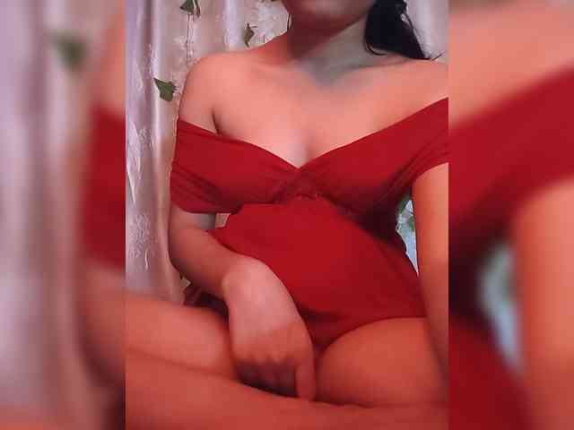 CamX1 webcam