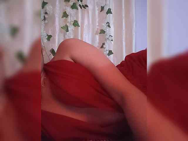 CamX1 webcam