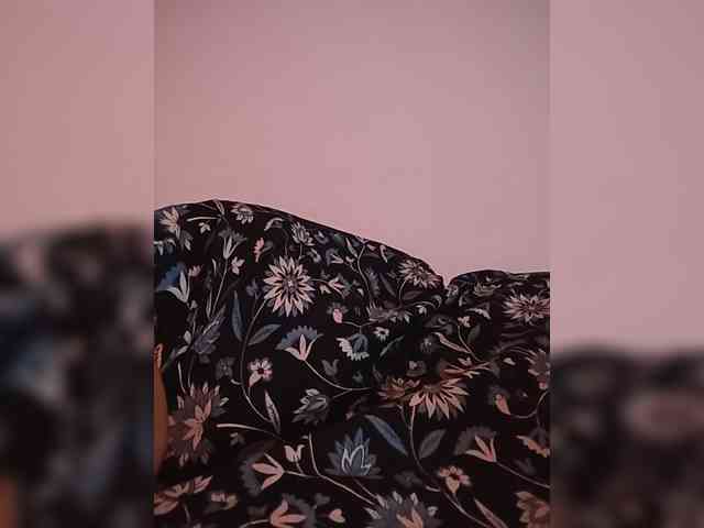 CamX1 webcam
