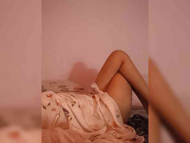 CamX1 webcam