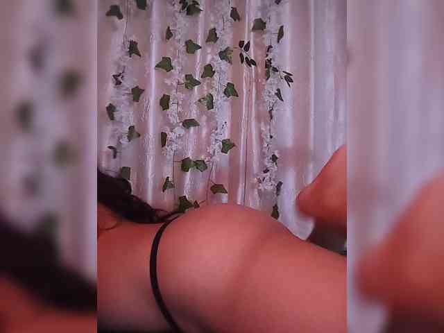 CamX1 webcam