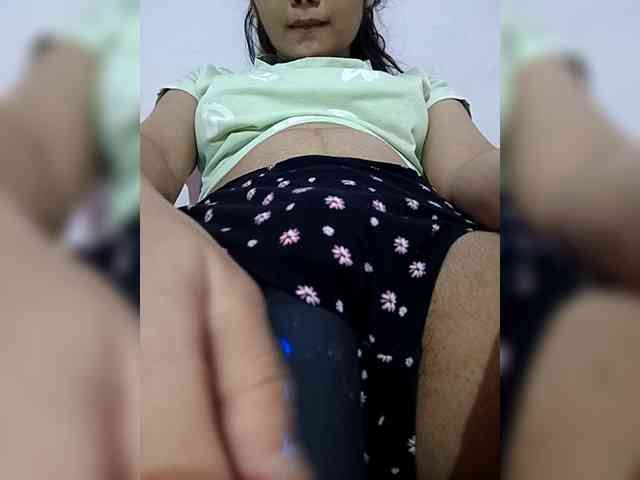 CamX1 webcam