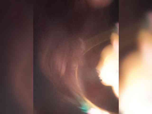 CamX1 webcam