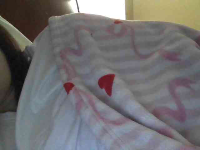 toxicaashley webcam