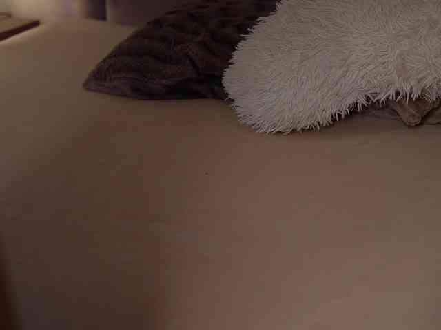JoelleSoul