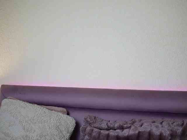 JoelleSoul webcam