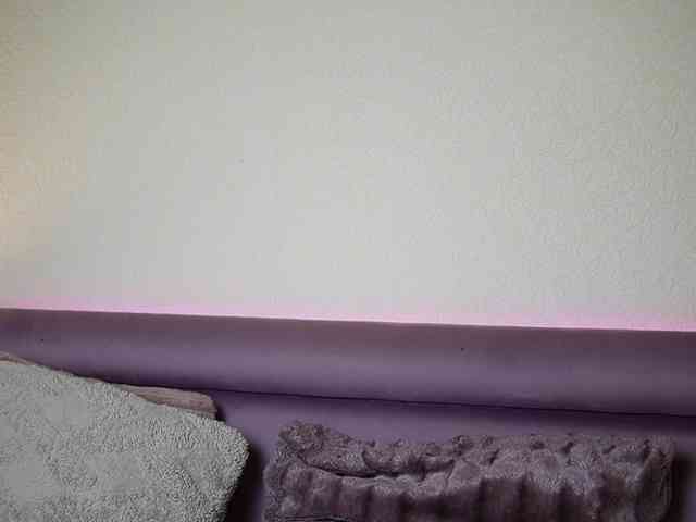 JoelleSoul webcam