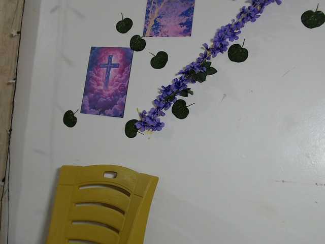 Xnyder live cam on BongaCams