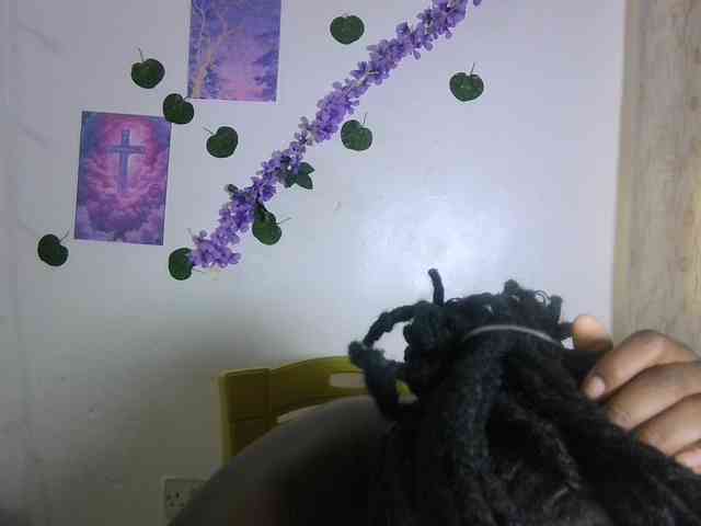 Xnyder webcam