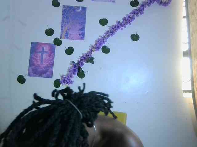 Xnyder webcam