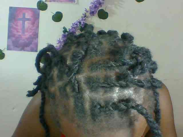 Xnyder webcam
