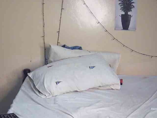 Xnyder webcam