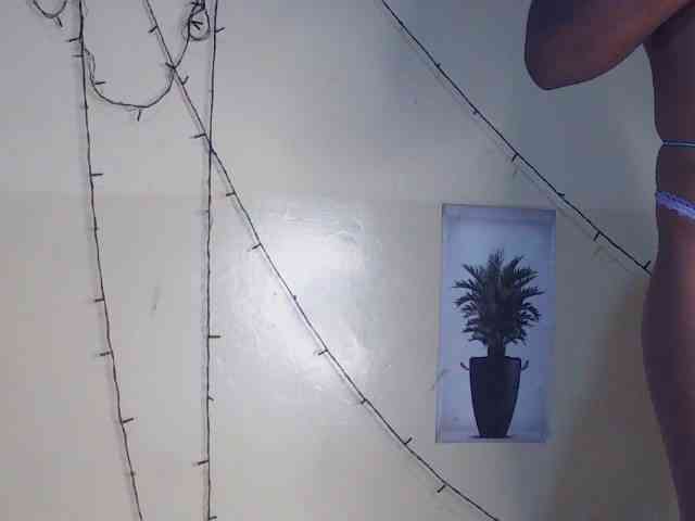 Xnyder webcam