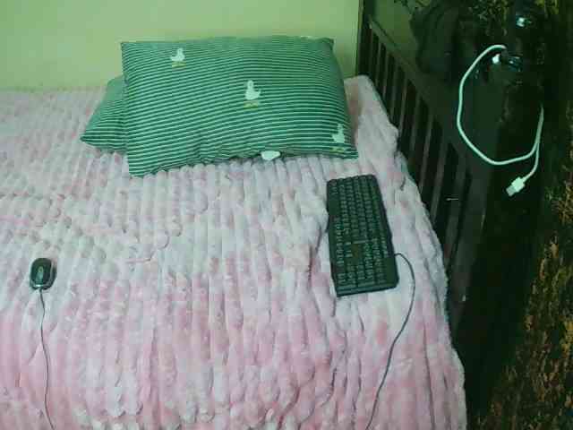 Xnyder webcam