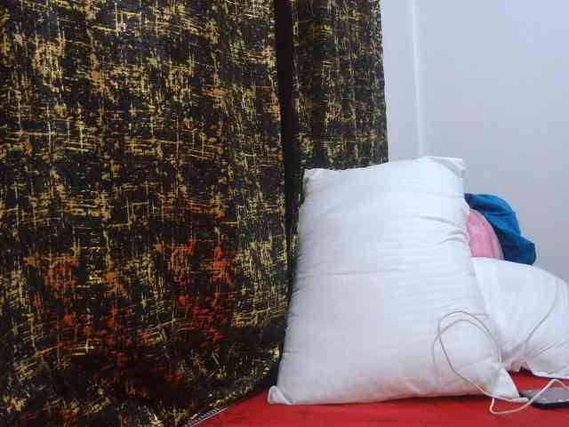Xnyder webcam