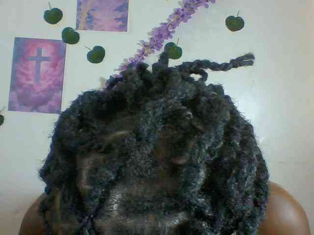 Xnyder webcam