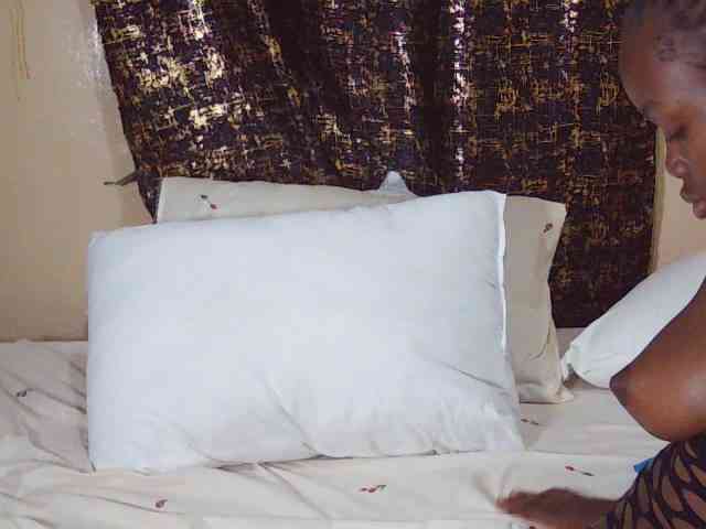 Xnyder webcam