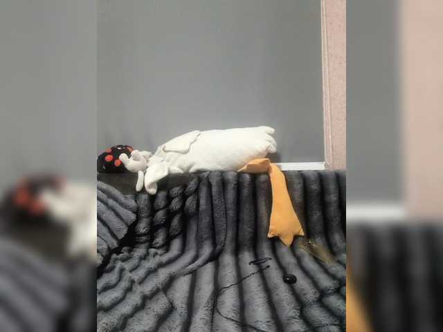 exnasisi live cam on BongaCams