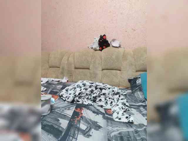 exnasis webcam
