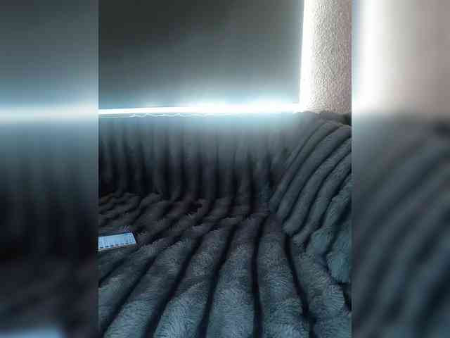 exnasis webcam