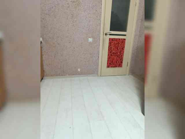 exnasis webcam