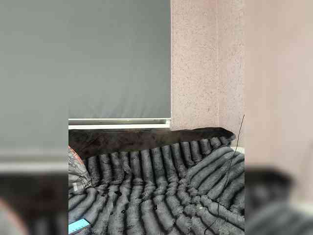exnasis webcam