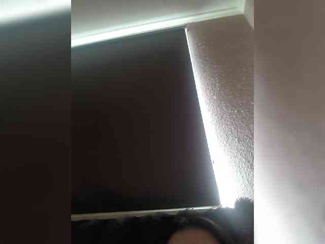 exnasis webcam