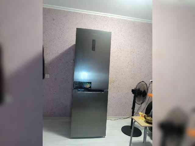 exnasis webcam
