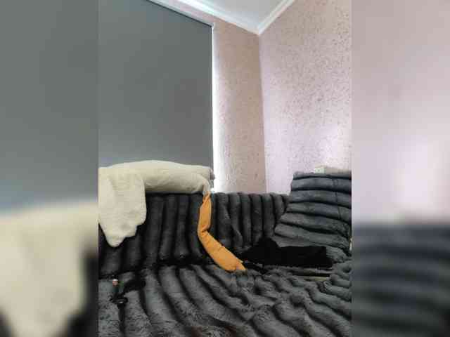 exnasis webcam