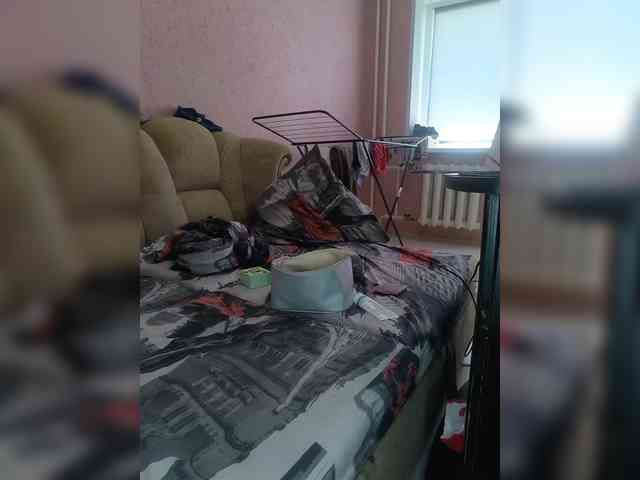 exnasis webcam